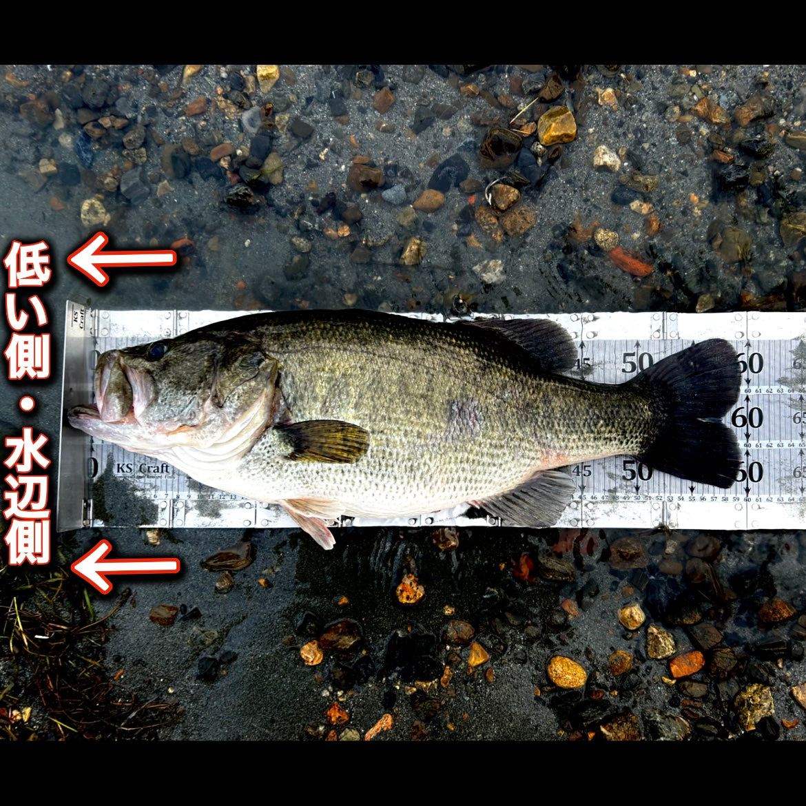 滑り止めシリコンゴム 6個